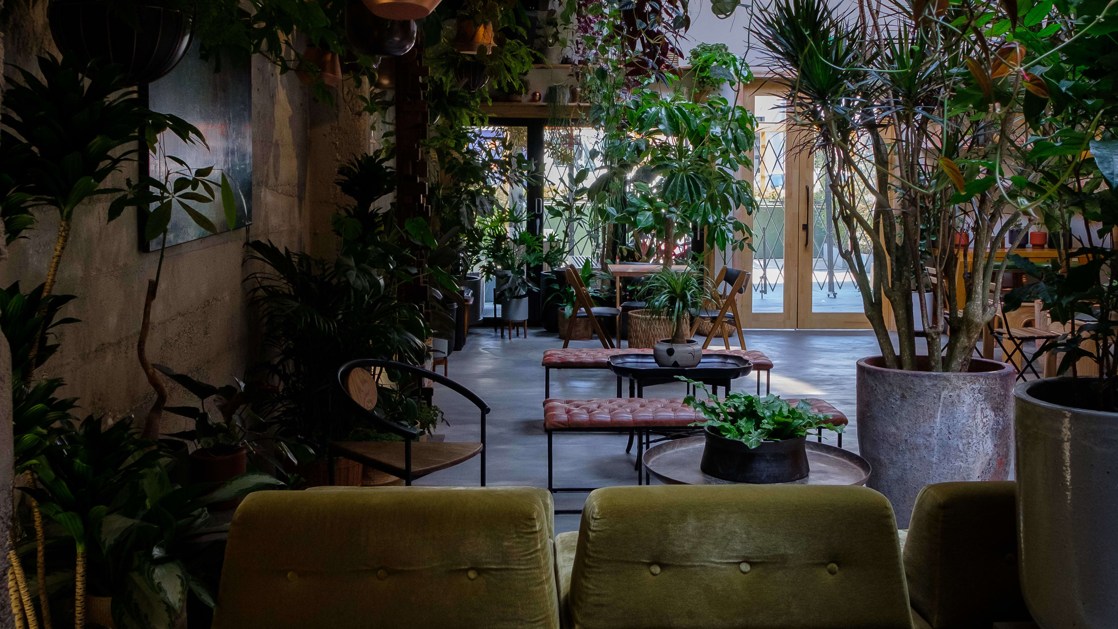 Moongate Lounge Review Chinatown San Francisco The Infatuation